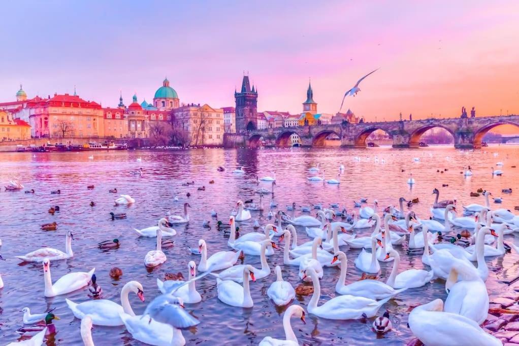 Capitol Deluxe * Prag